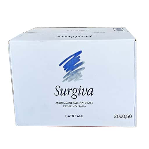 Nước khoáng không ga Surgiva Natural 500ml - 1 thùng