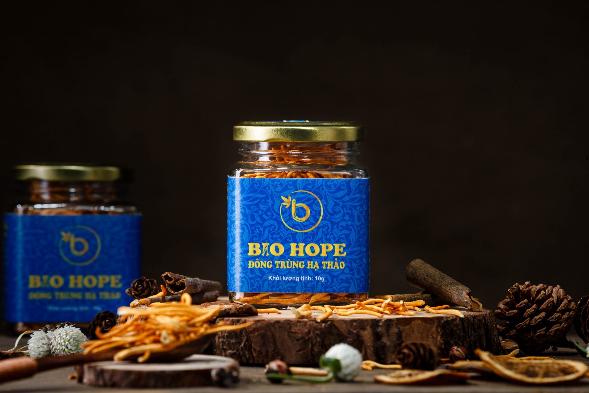 Đông trùng hạ thảo BIO HOPE 10g (gram)