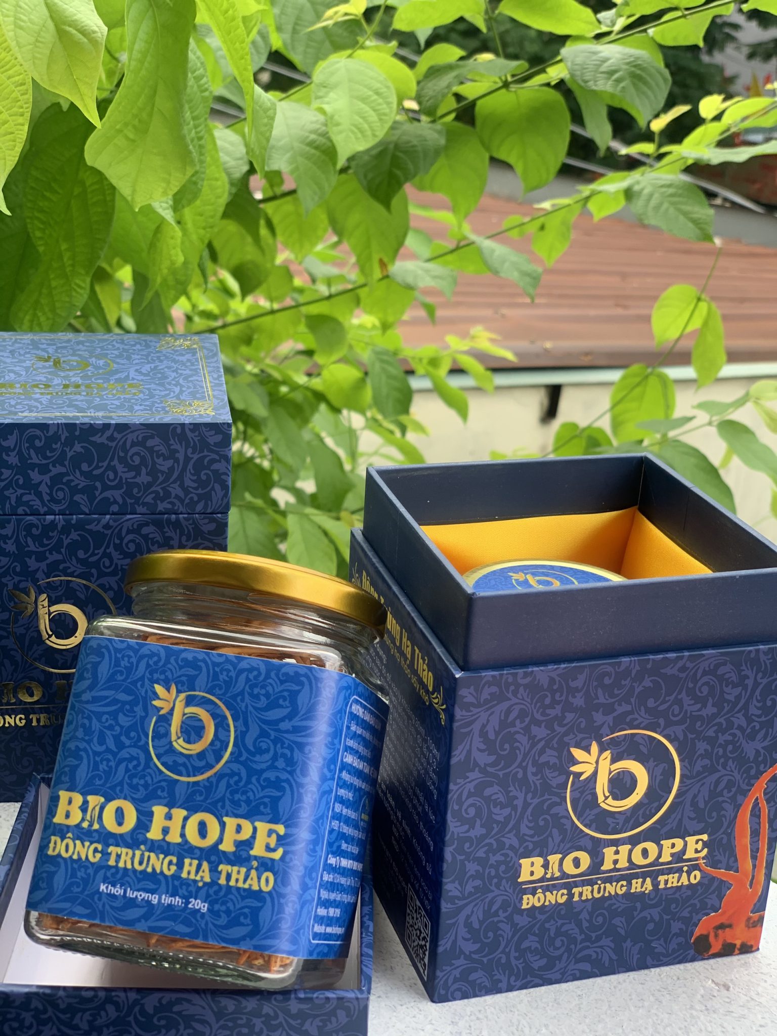 Đông trùng hạ thảo BIO HOPE 20g (gram)